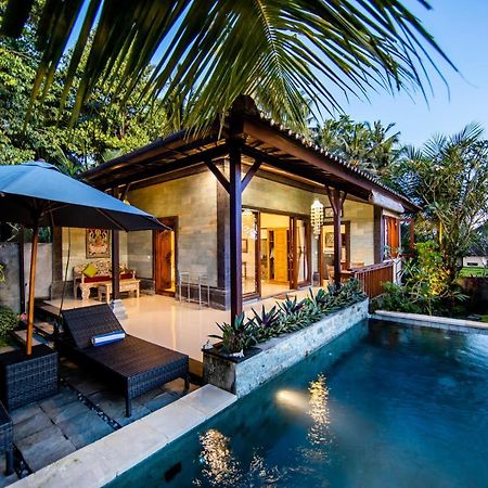Villa Natha Ubud Zewnętrze zdjęcie