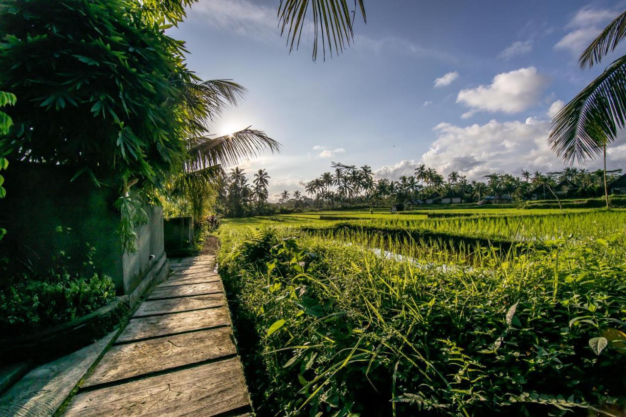 Villa Natha Ubud Zewnętrze zdjęcie